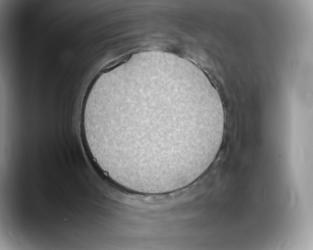 X0000088150003200706111452