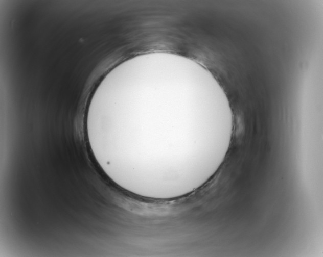 X0000088150004200706111452