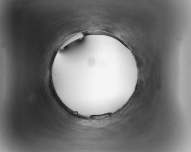 X0000088150005200706111452