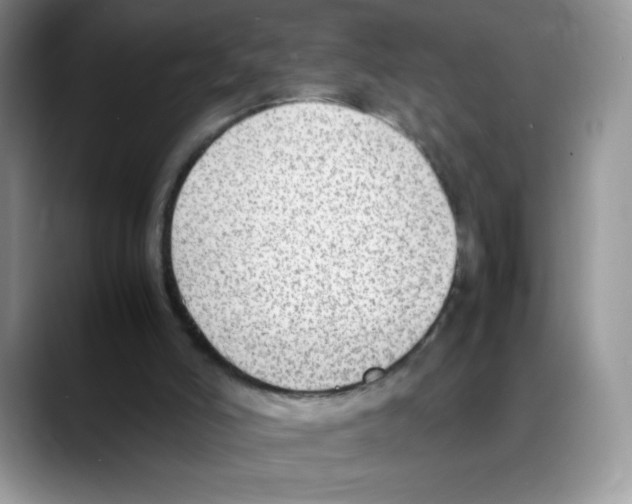 X0000088150006200706111452