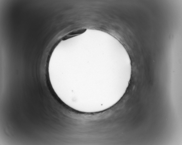 X0000088150007200706111452