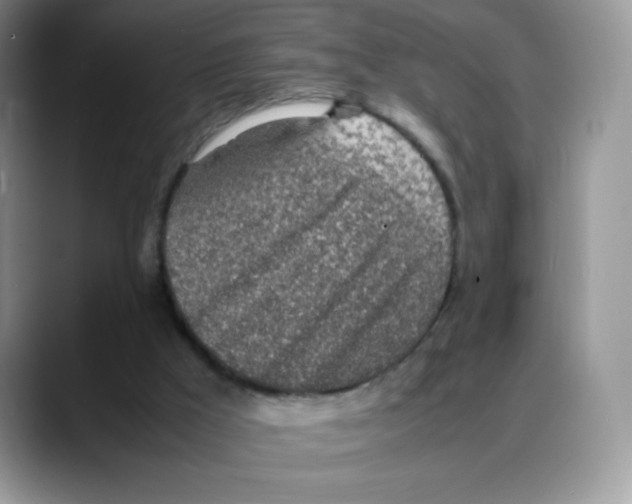 X0000088150009200706111452