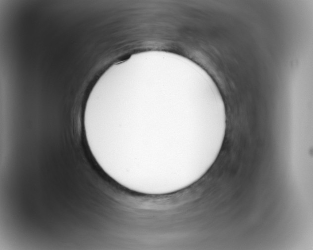 X0000088150011200706111452