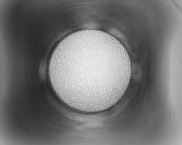 X0000088150012200706111452