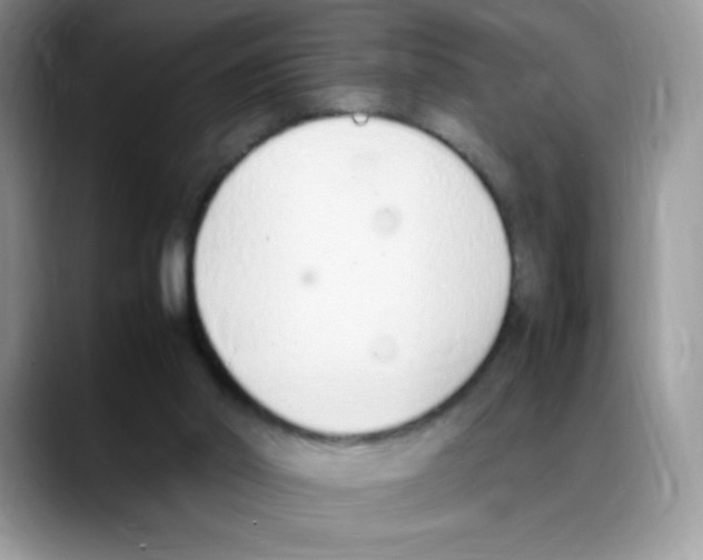 X0000088150014200706111451