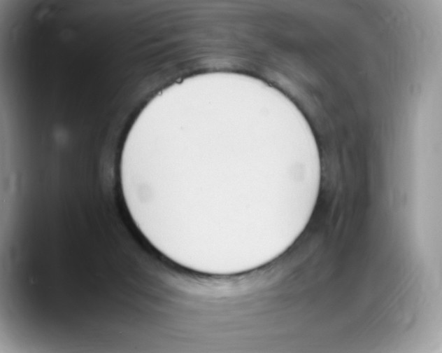 X0000088150015200706111451