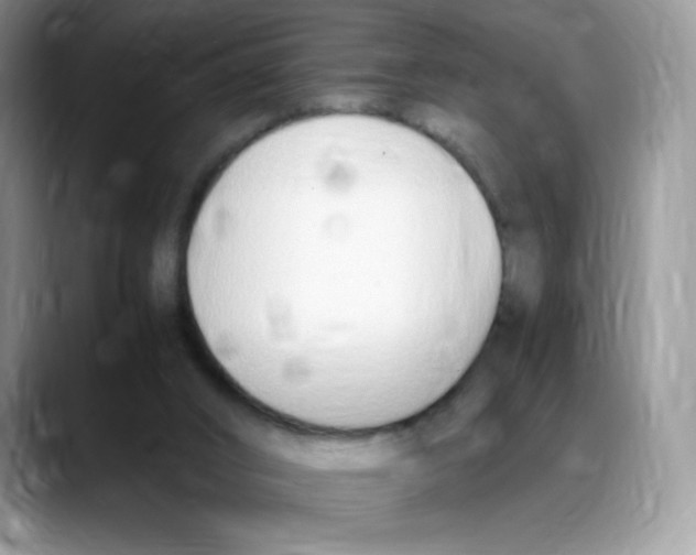 X0000088150016200706111451