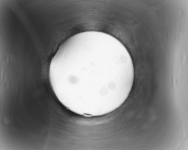 X0000088150017200706111451