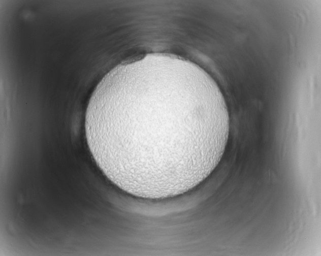 X0000088150018200706111451