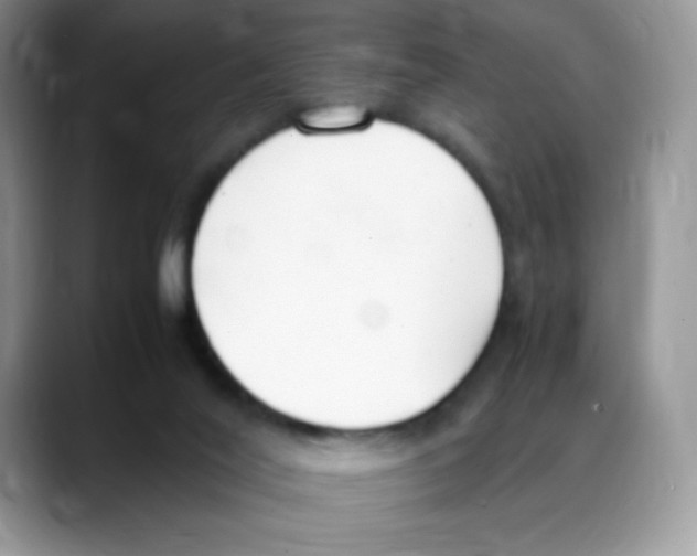 X0000088150020200706111451