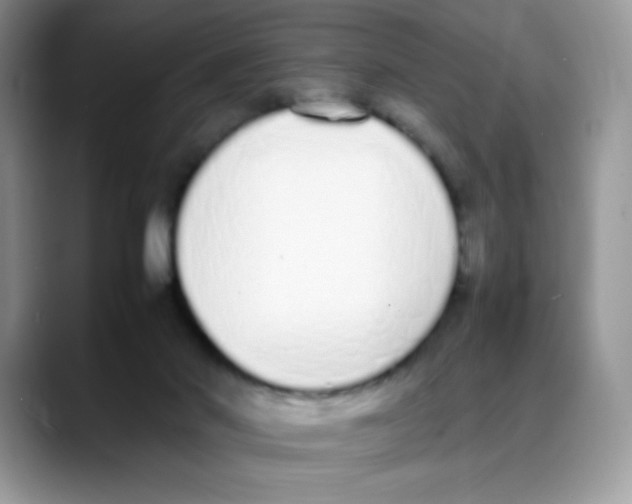 X0000088150022200706111451