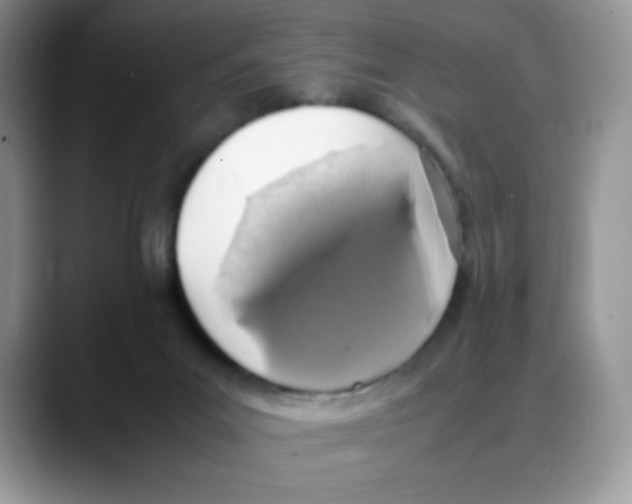 X0000088150023200706111451