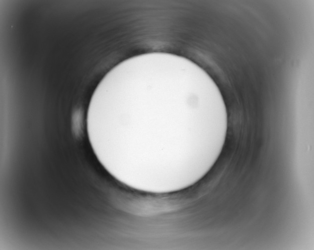 X0000088150024200706111451