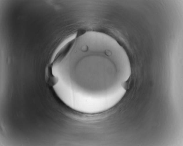 X0000088150027200706111451