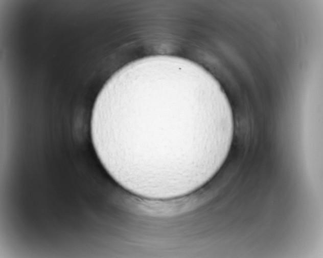 X0000088150030200706111451