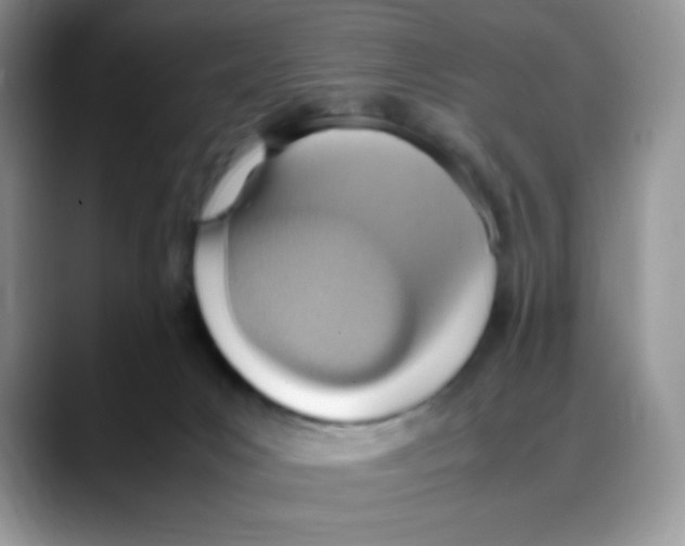 X0000088150031200706111451