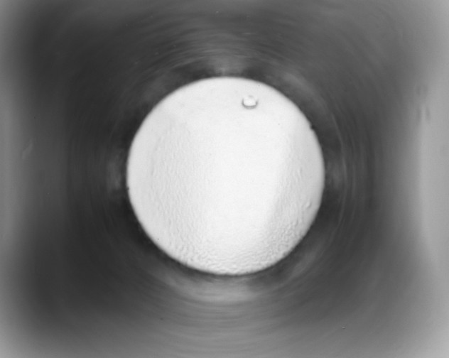 X0000088150032200706111451