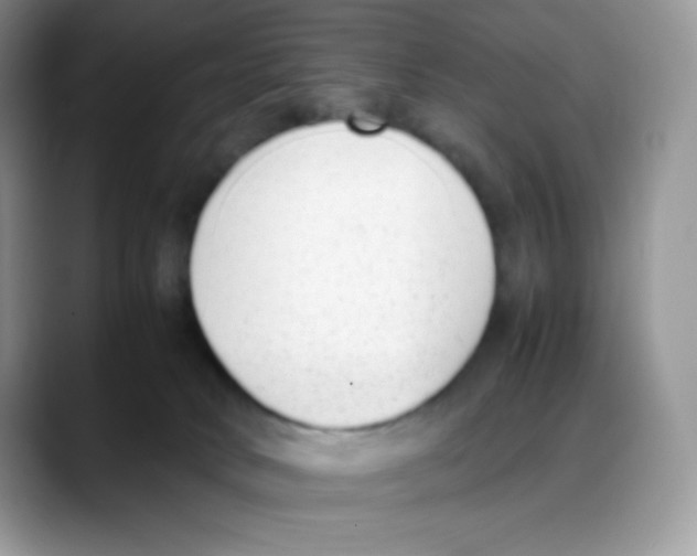 X0000088150034200706111451