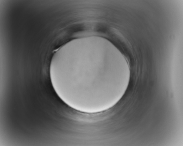 X0000088150035200706111451