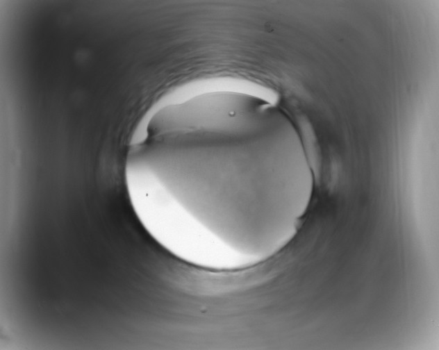 X0000088150039200706111451