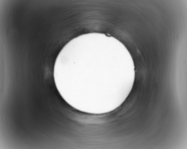 X0000088150040200706111451