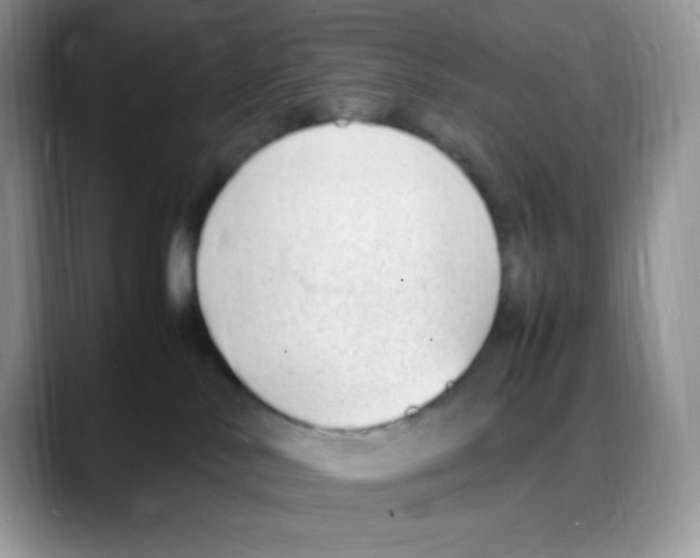 X0000088150042200706111451