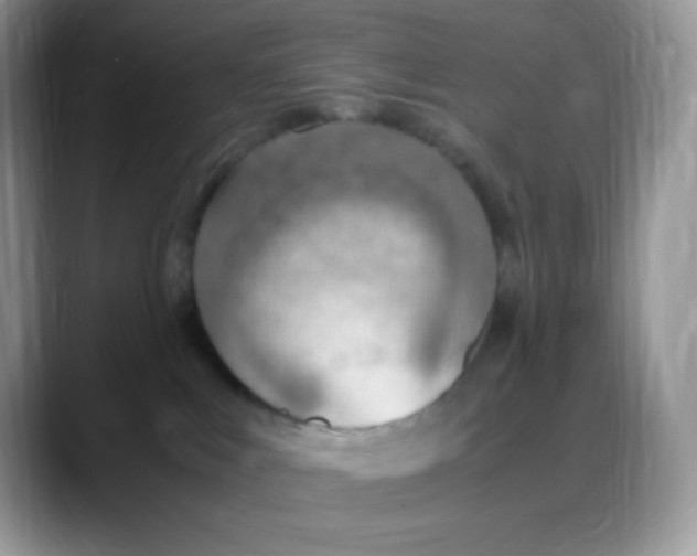 X0000088150043200706111451