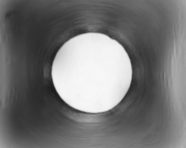 X0000088150044200706111451