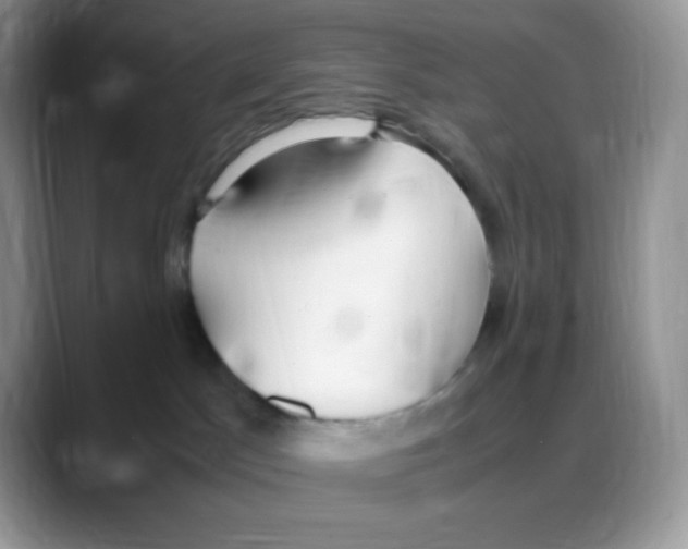 X0000088150045200706111451