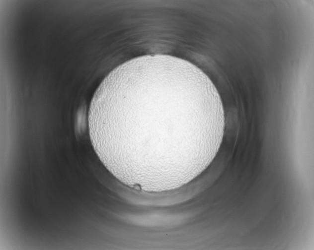 X0000088150046200706111451