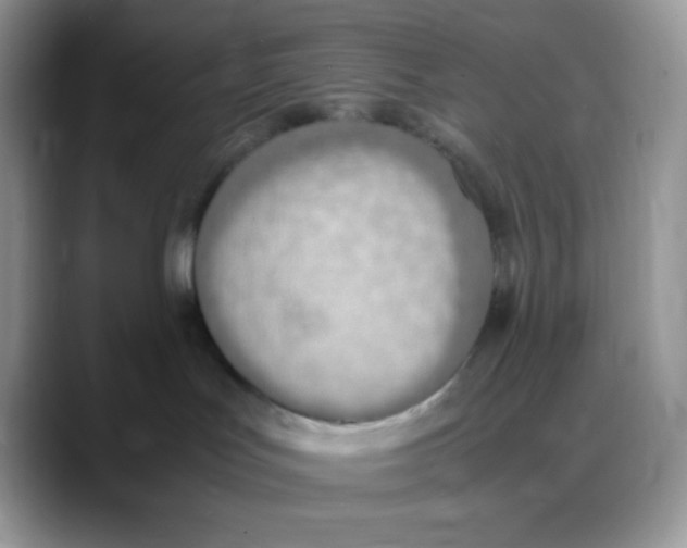 X0000088150047200706111451