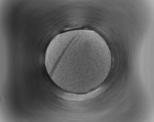 X0000088150048200706111451