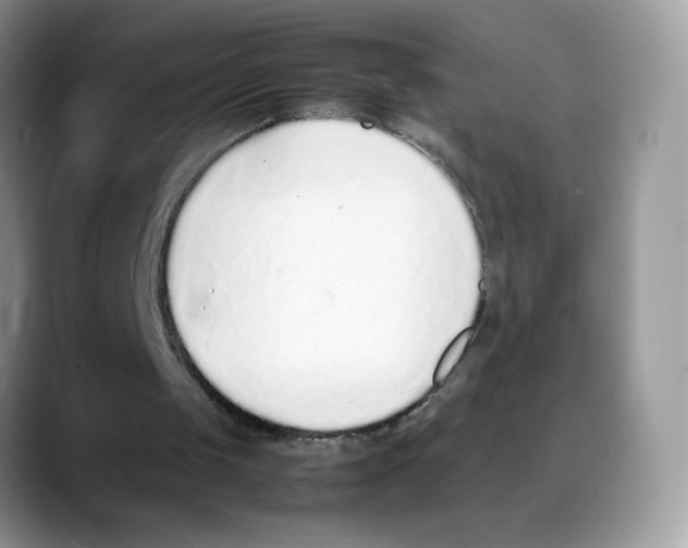 X0000088150049200706111451