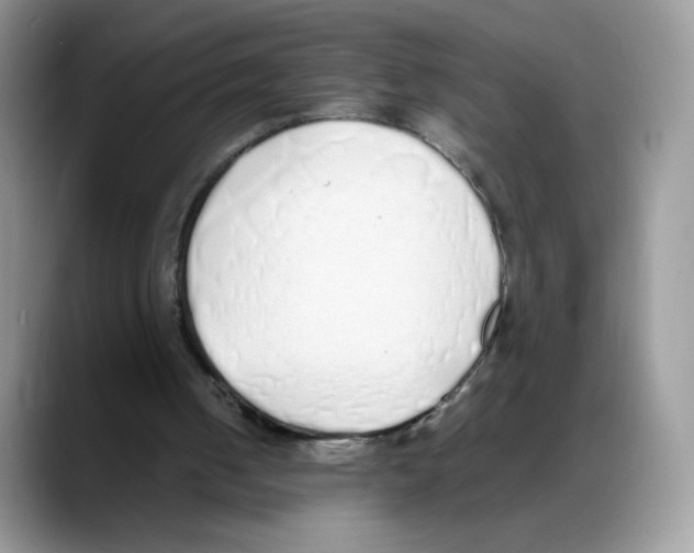 X0000088150050200706111451