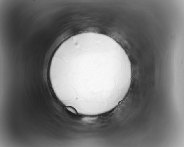 X0000088150051200706111451