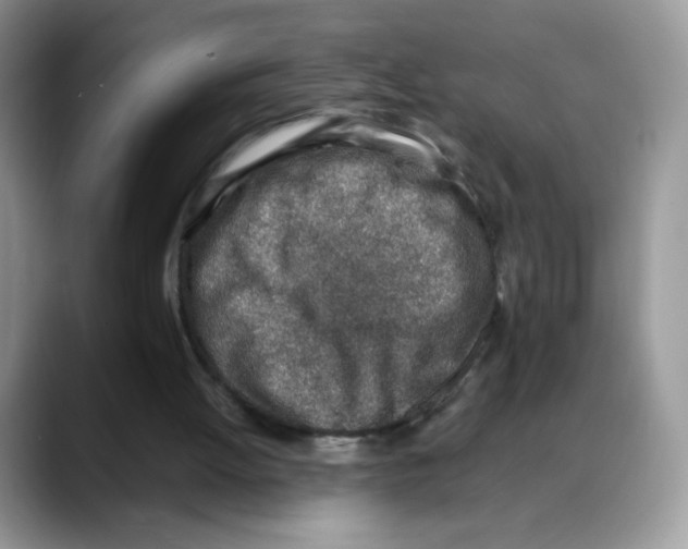 X0000088150052200706111451