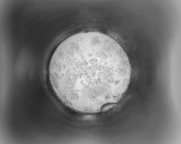 X0000088150053200706111451