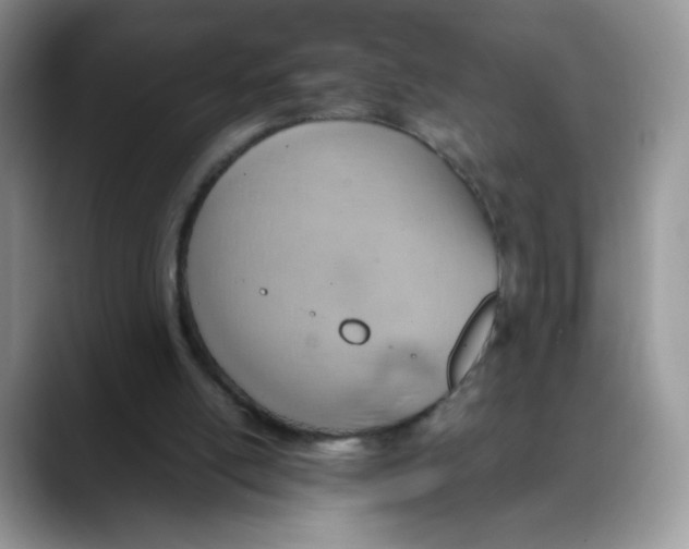 X0000088150054200706111451