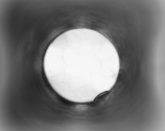 X0000088150055200706111451