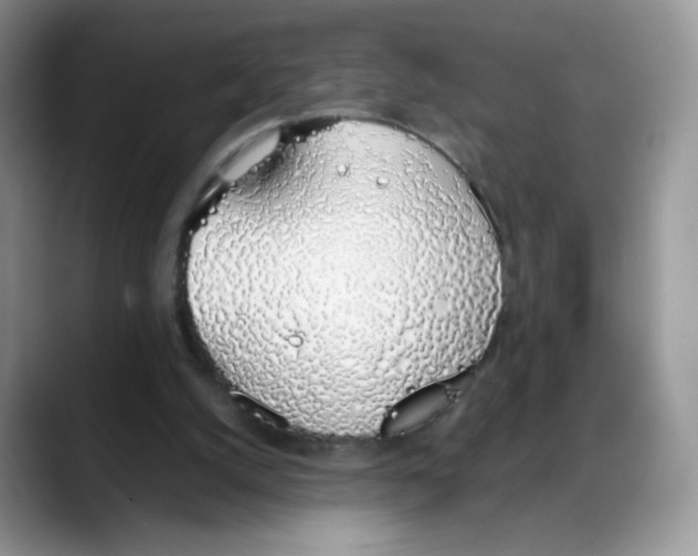 X0000088150056200706111451