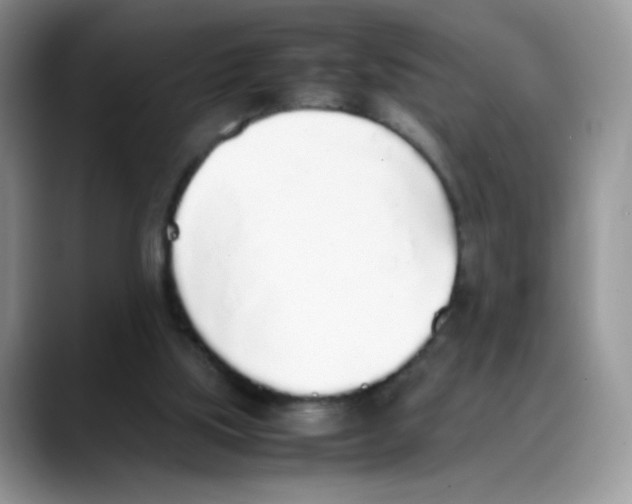 X0000088150059200706111451