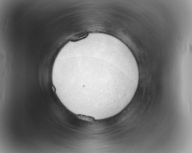 X0000088150060200706111451