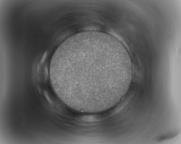 X0000088150061200706111451