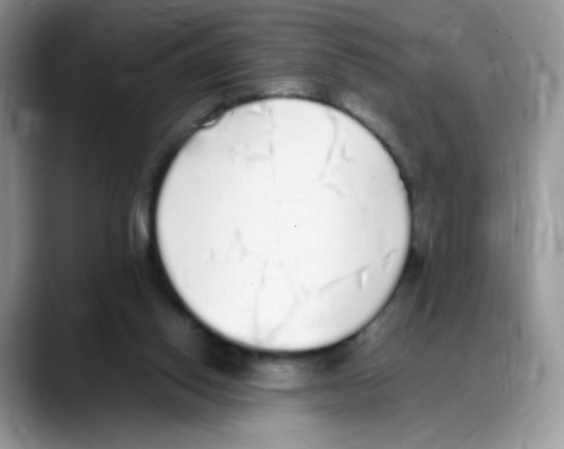 X0000088150062200706111451