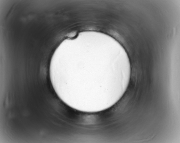 X0000088150063200706111451