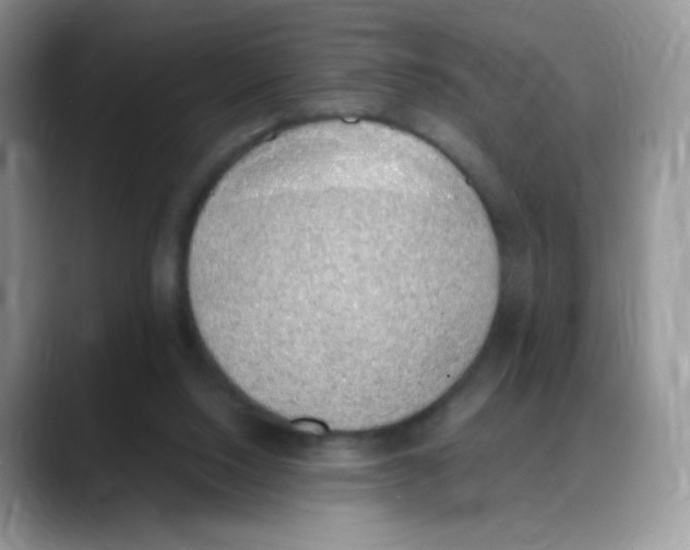 X0000088150064200706111451