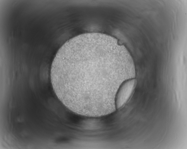 X0000088150065200706111451