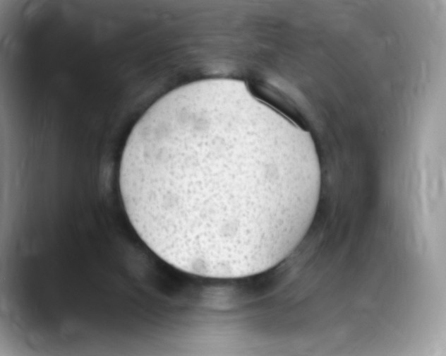 X0000088150066200706111451