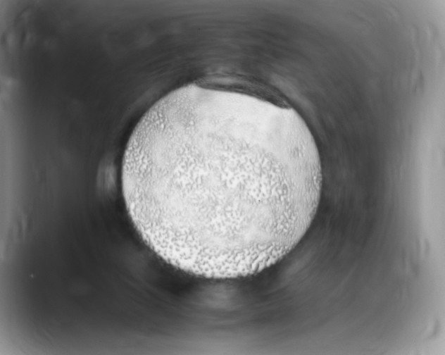 X0000088150067200706111451