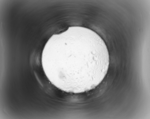 X0000088150069200706111451